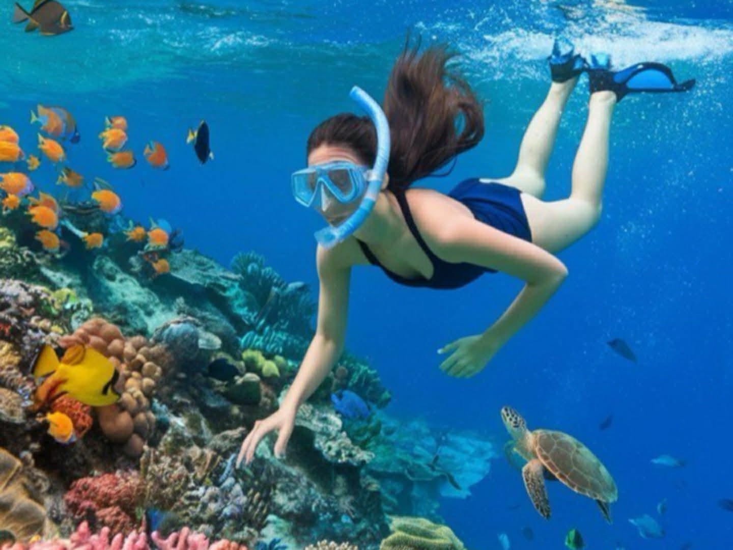Tour Kỳ Co Đón Tại Quy Nhơn – Trải Nghiệm Biển Xanh Maldives Việt Nam Giá Tốt